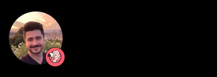 alt text